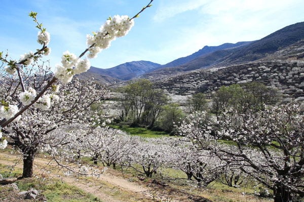 Escapadas primavera