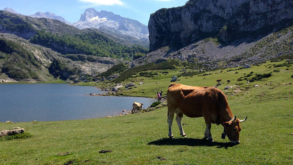 Lugares Imprescindibles Asturias Covadonga