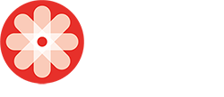 EXPERIENCE PLUS